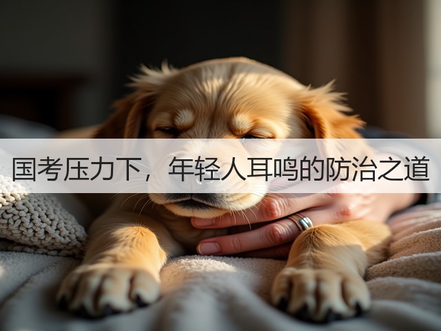 国考压力下,年轻人耳鸣的防治之道(图1) 国考压力下,年轻人耳鸣的防治之道(图1)