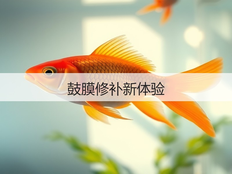 鼓膜修补新体验