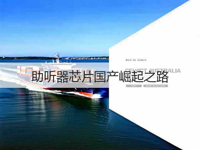 助听器芯片国产崛起之路(图3) 助听器芯片国产崛起之路(图3)