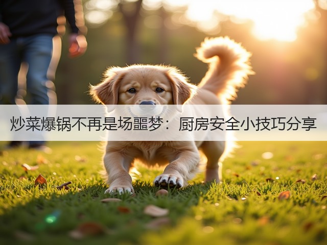 炒菜爆锅不再是场噩梦：厨房安全小技巧分享(图2)