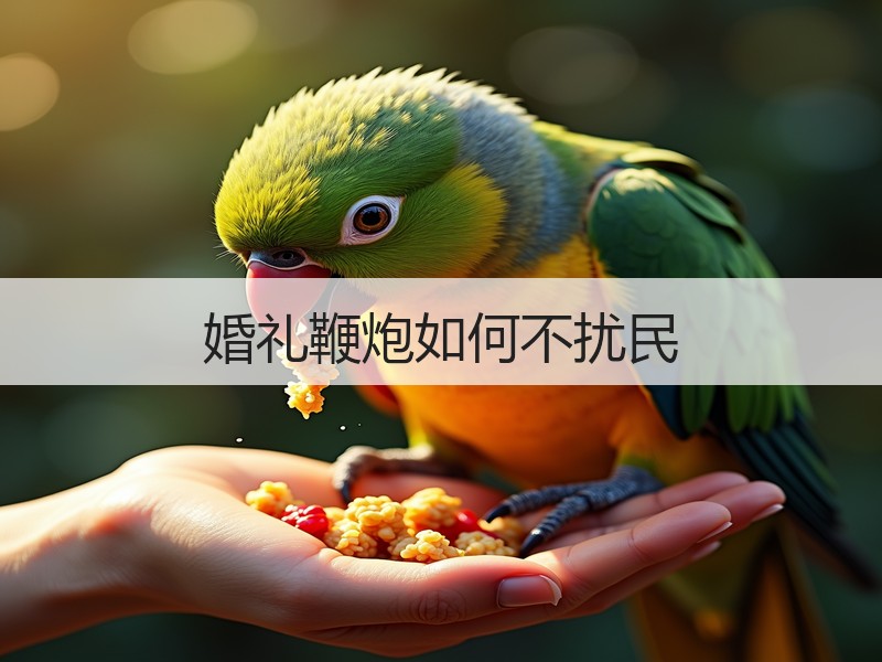 婚礼鞭炮如何不扰民