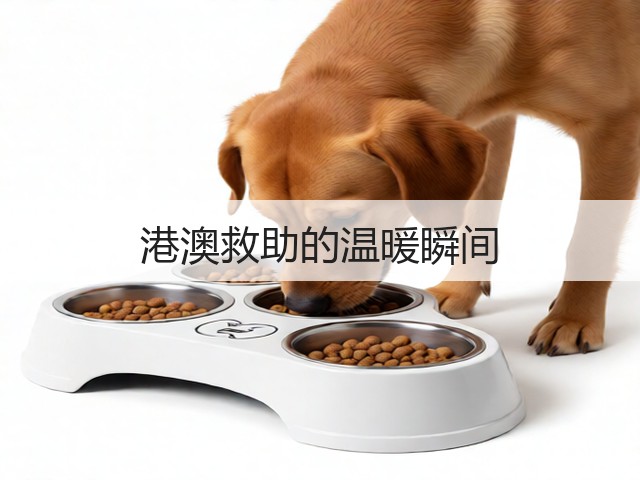 港澳救助的温暖瞬间(图3) 港澳救助的温暖瞬间(图3)