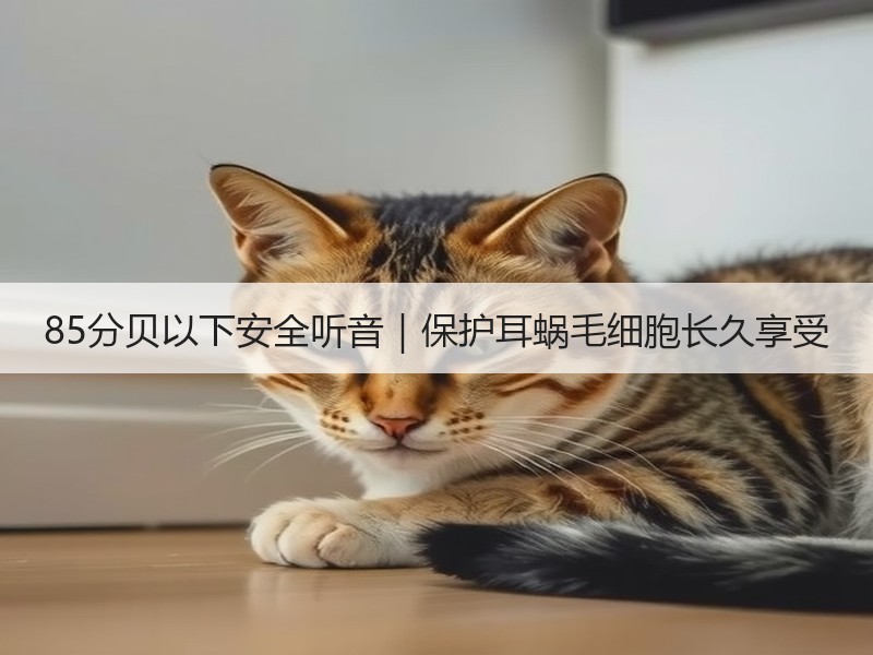 85分贝以下安全听音｜保护耳蜗毛细胞长久享受