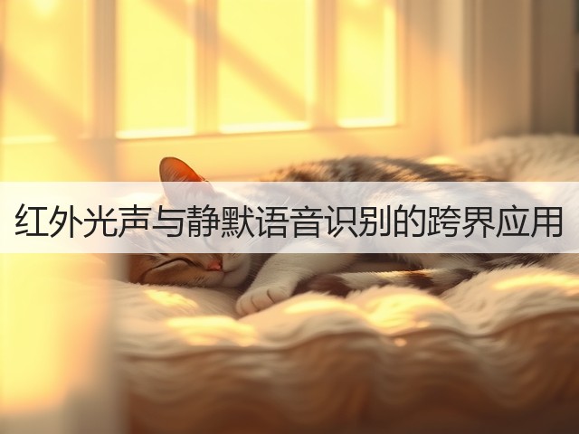 红外光声与静默语音识别的跨界应用(图1) 红外光声与静默语音识别的跨界应用(图1)