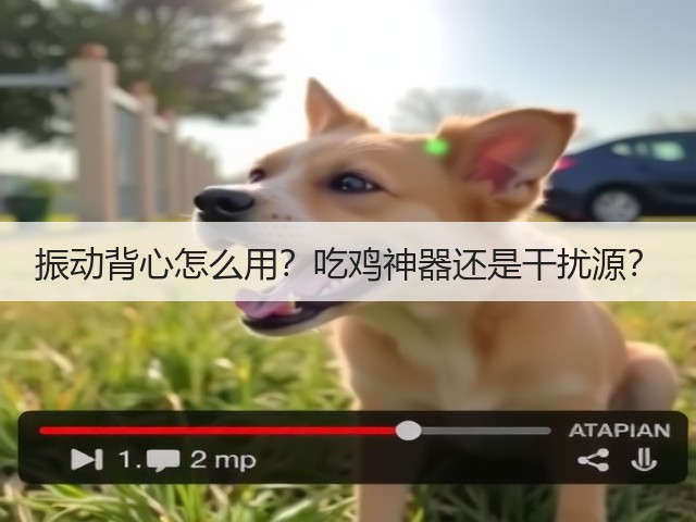 振动背心怎么用？吃鸡神器还是干扰源？(图1)