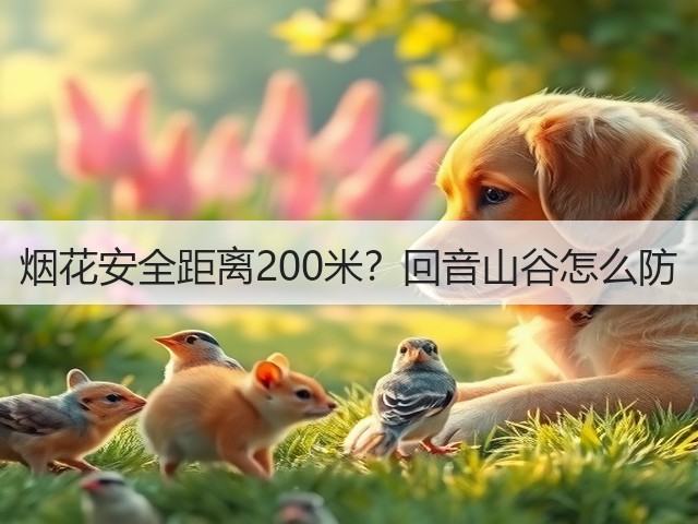 烟花安全距离200米?回音山谷怎么防(图3) 烟花安全距离200米?回音山谷怎么防(图3)