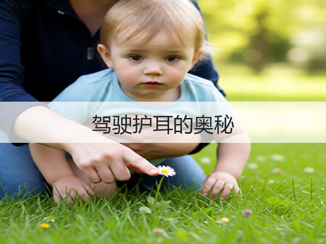驾驶护耳的奥秘(图3)