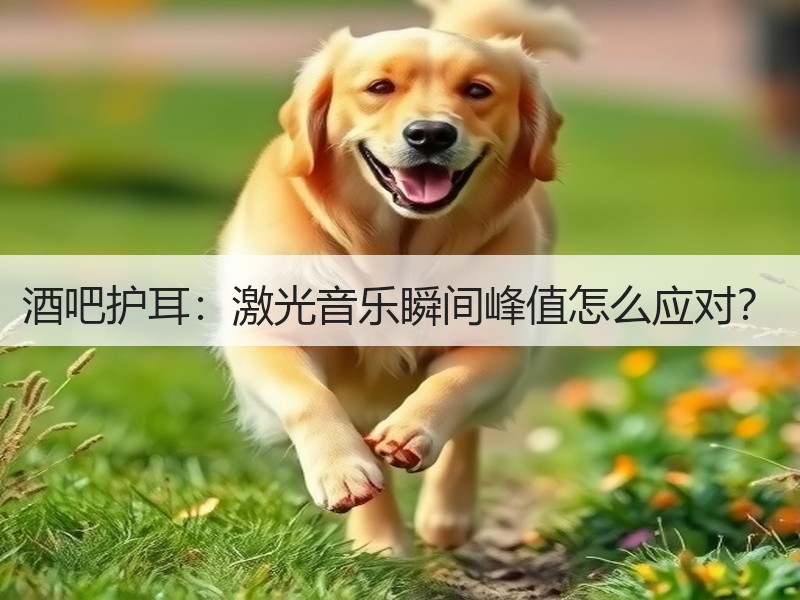 酒吧护耳：激光音乐瞬间峰值怎么应对？