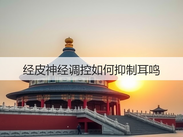 经皮神经调控如何抑制耳鸣(图3) 经皮神经调控如何抑制耳鸣(图3)