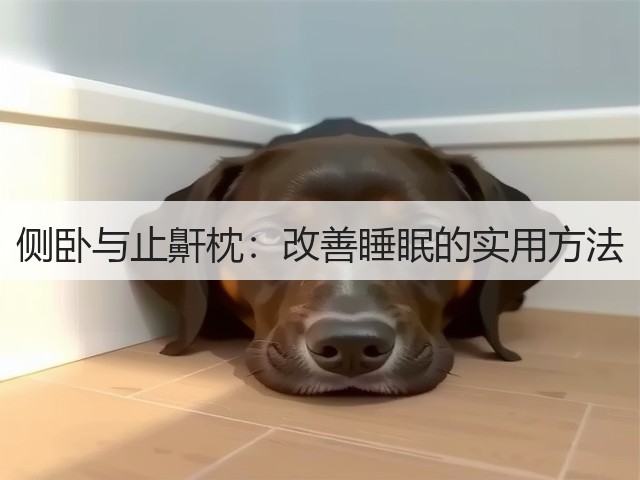 侧卧与止鼾枕:改善睡眠的实用方法(图2) 侧卧与止鼾枕:改善睡眠的实用方法(图2)