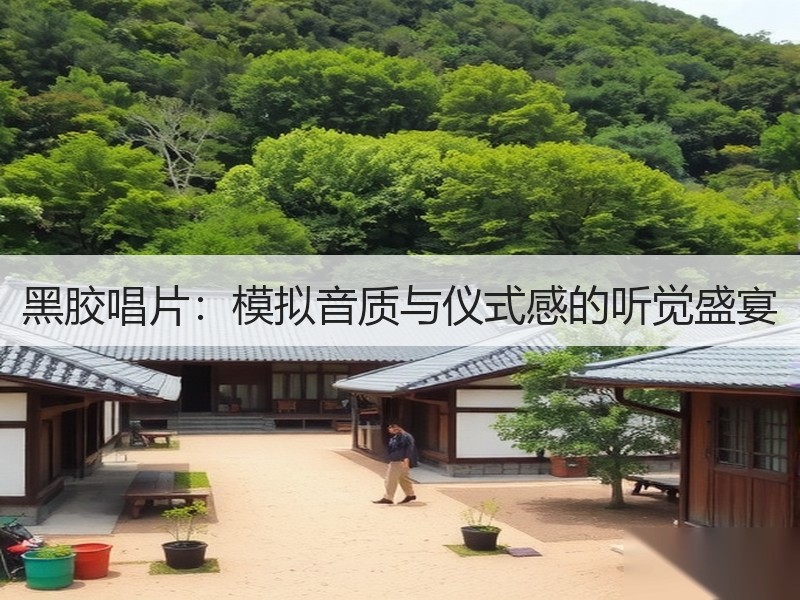 黑胶唱片：模拟音质与仪式感的听觉盛宴