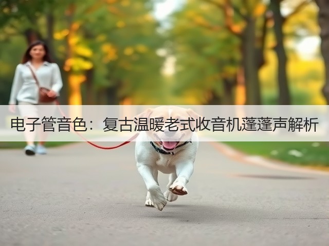 电子管音色:复古温暖老式收音机蓬蓬声解析(图2) 电子管音色:复古温暖老式收音机蓬蓬声解析(图2)