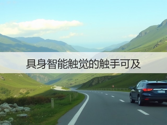 具身智能触觉的触手可及(图2) 具身智能触觉的触手可及(图2)