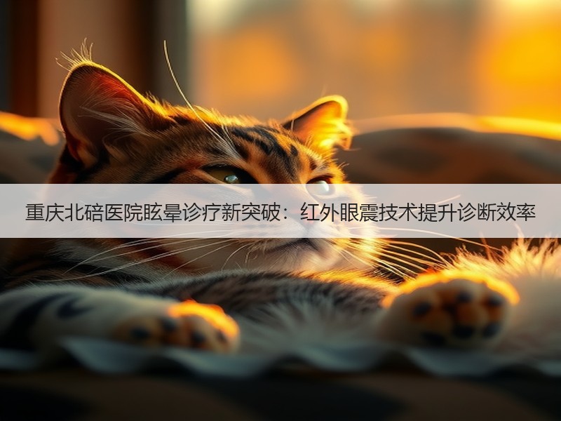 重庆北碚医院眩晕诊疗新突破：红外眼震技术提升诊断效率