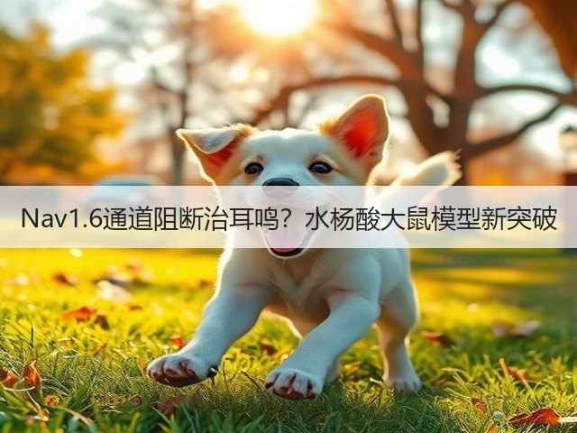 Nav1.6通道阻断治耳鸣?水杨酸大鼠模型新突破(图3) Nav1.6通道阻断治耳鸣?水杨酸大鼠模型新突破(图3)