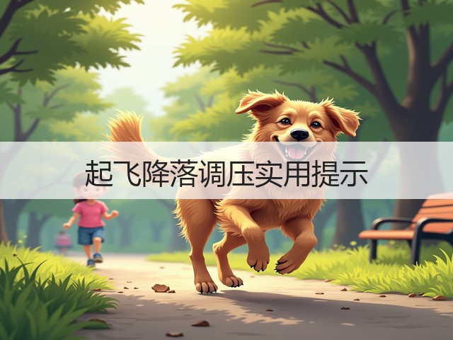 起飞降落调压实用提示(图2) 起飞降落调压实用提示(图2)