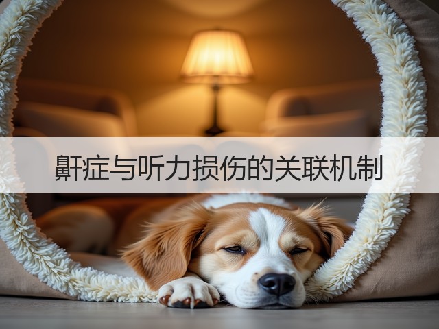 鼾症与听力损伤的关联机制(图2) 鼾症与听力损伤的关联机制(图2)
