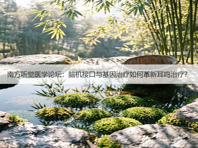 南方听觉医学论坛:脑机接口与基因治疗如何革新耳鸣治疗?(图3) 南方听觉医学论坛:脑机接口与基因治疗如何革新耳鸣治疗?(图3)
